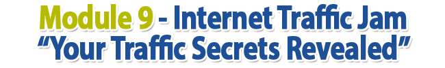 Module 9 - Internet Traffic Jam “Your Traffic Secrets Revealed”